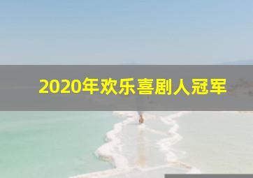 2020年欢乐喜剧人冠军