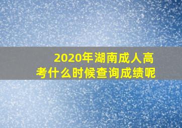 2020年湖南成人高考什么时候查询成绩呢