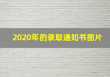 2020年的录取通知书图片