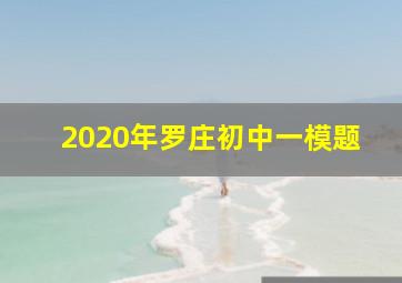 2020年罗庄初中一模题