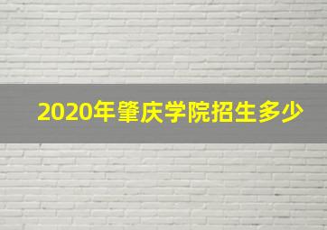 2020年肇庆学院招生多少