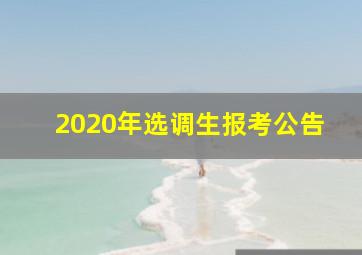 2020年选调生报考公告