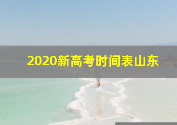 2020新高考时间表山东