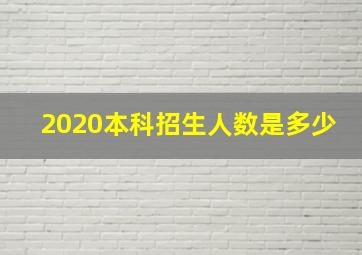 2020本科招生人数是多少