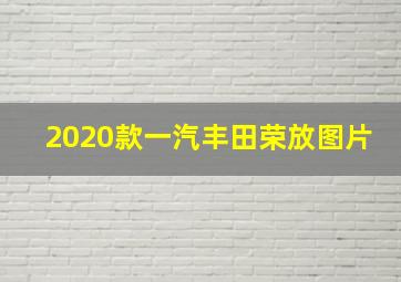 2020款一汽丰田荣放图片