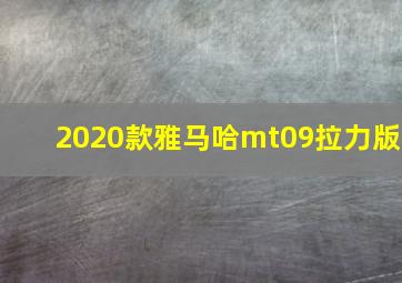 2020款雅马哈mt09拉力版