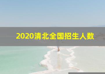 2020清北全国招生人数