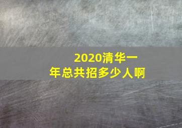 2020清华一年总共招多少人啊