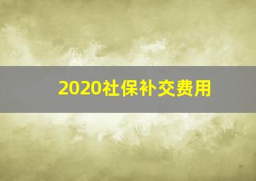 2020社保补交费用