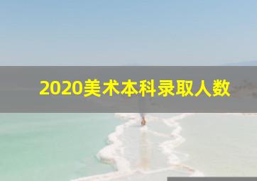 2020美术本科录取人数