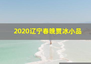 2020辽宁春晚贾冰小品