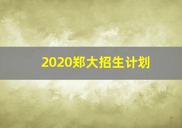 2020郑大招生计划