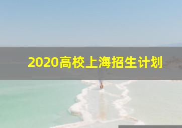 2020高校上海招生计划