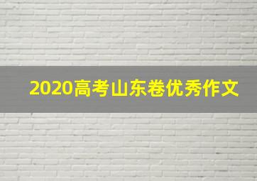 2020高考山东卷优秀作文