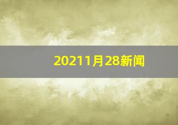 20211月28新闻