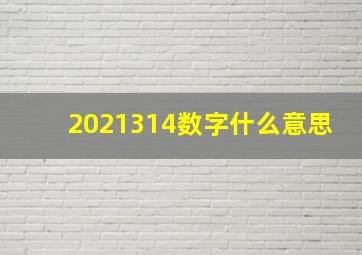 2021314数字什么意思