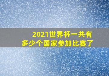 2021世界杯一共有多少个国家参加比赛了