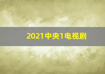 2021中央1电视剧