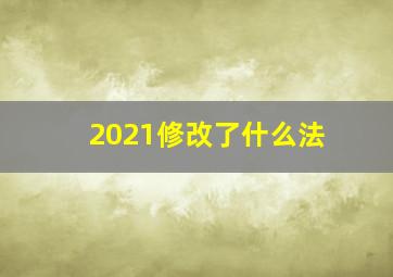 2021修改了什么法