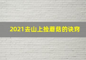 2021去山上捡蘑菇的诀窍