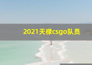 2021天禄csgo队员