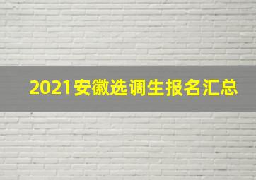 2021安徽选调生报名汇总