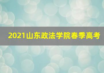 2021山东政法学院春季高考