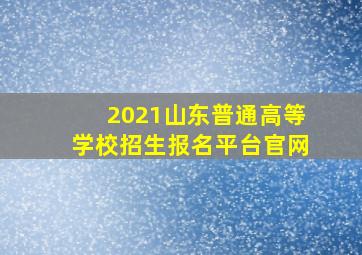 2021山东普通高等学校招生报名平台官网