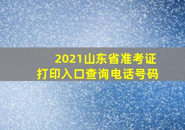 2021山东省准考证打印入口查询电话号码