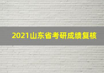 2021山东省考研成绩复核