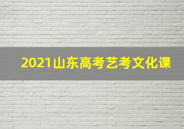 2021山东高考艺考文化课