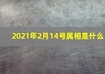 2021年2月14号属相是什么