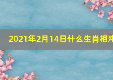 2021年2月14日什么生肖相冲