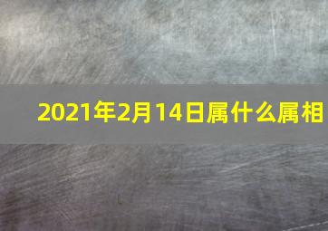 2021年2月14日属什么属相