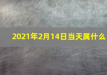 2021年2月14日当天属什么