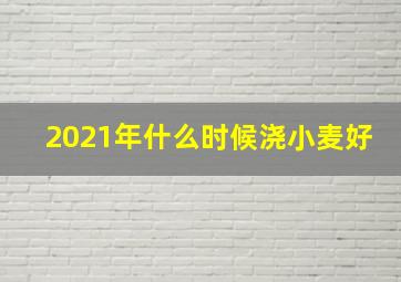 2021年什么时候浇小麦好