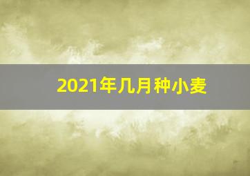 2021年几月种小麦