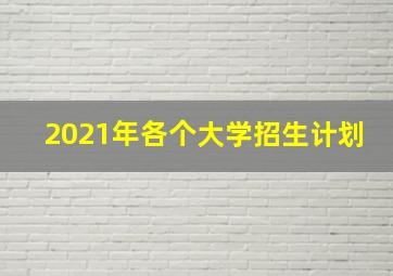 2021年各个大学招生计划