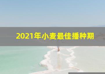 2021年小麦最佳播种期