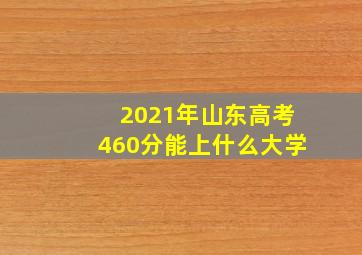 2021年山东高考460分能上什么大学