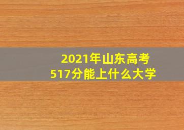 2021年山东高考517分能上什么大学