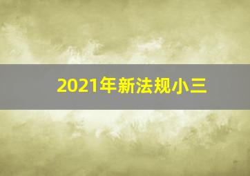 2021年新法规小三