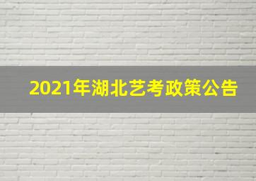 2021年湖北艺考政策公告