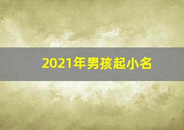 2021年男孩起小名