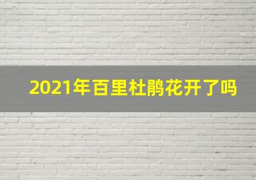 2021年百里杜鹃花开了吗