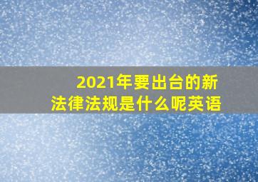 2021年要出台的新法律法规是什么呢英语