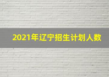 2021年辽宁招生计划人数