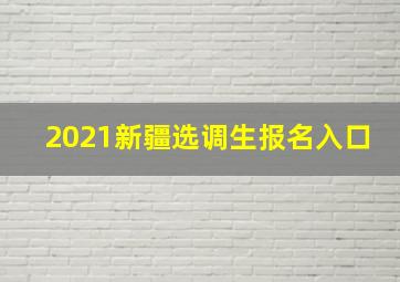 2021新疆选调生报名入口