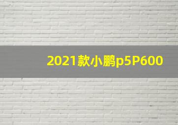 2021款小鹏p5P600