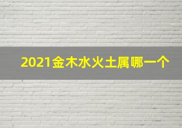 2021金木水火土属哪一个